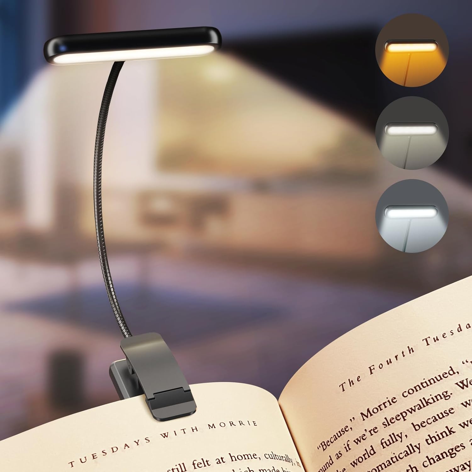 Photography Lighting Book - LED Book Light Reading Light Eye