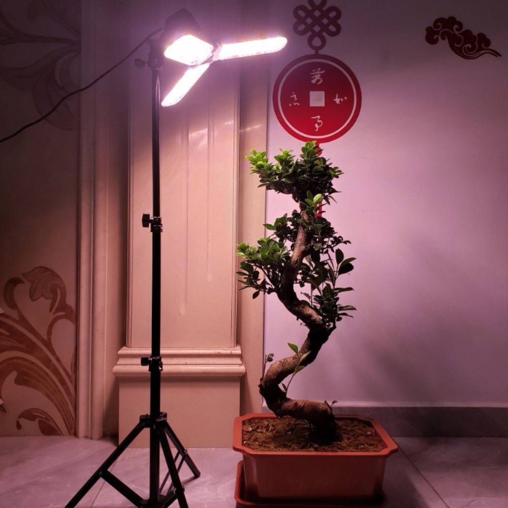 Light Bulb Stand 2M, E27 AC So - Photography Lighting For Studio 评论和价格