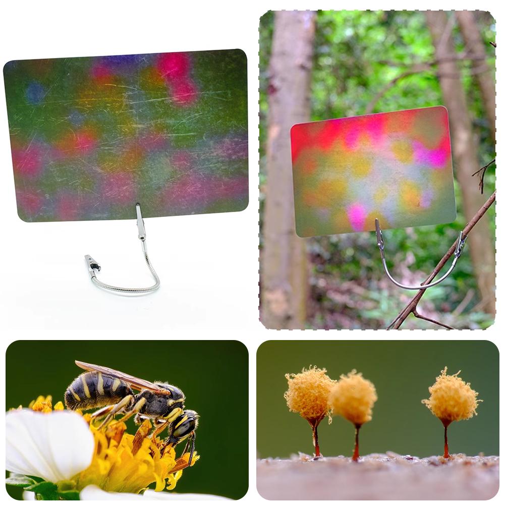 Macro Photography Background C - Photography Lighting Material 评论和价格
