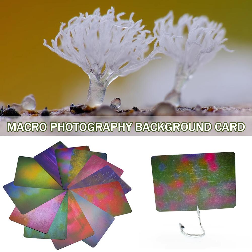 Macro Photography Background C - Photography Lighting Material 评论和价格