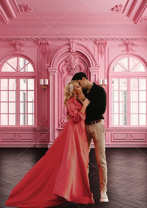 Pink Maternity Paneled Room Co - Photography Lighting And Composition 评论和价格