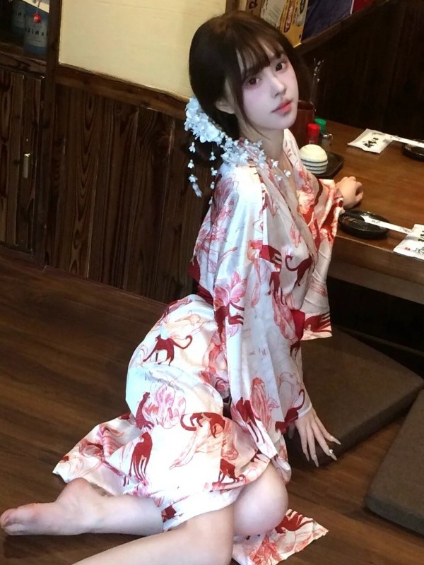 New Chinese Style Sleepwear Ha - Photography Lighting For Studio 评论和价格