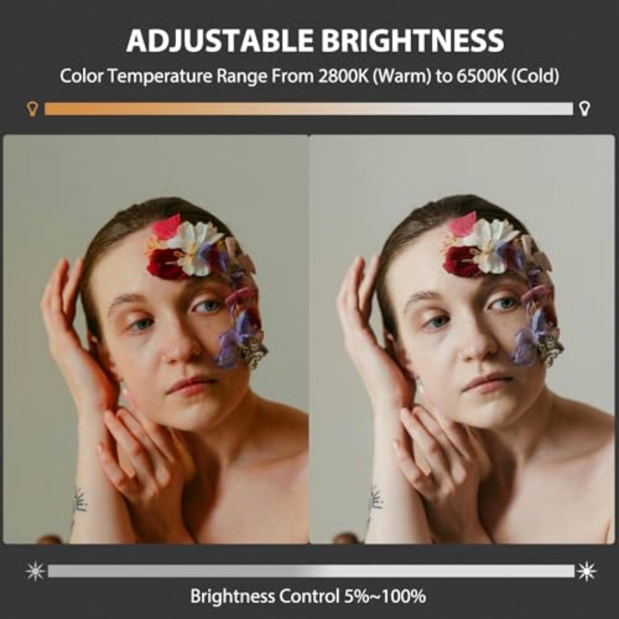 60W COB LED Video Light Handhe - Photography Lighting For Studio 评论和价格