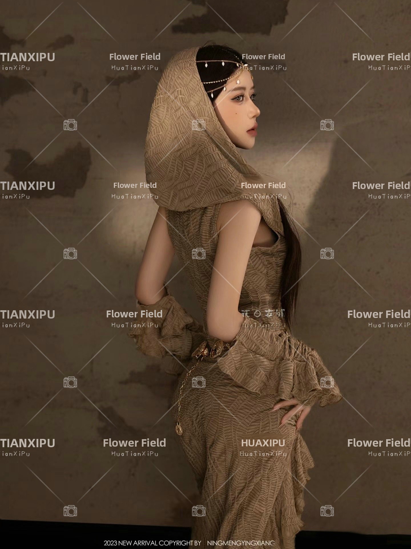 New Desert  Princess Style Pho - Photography Lighting For Studio 评论和价格