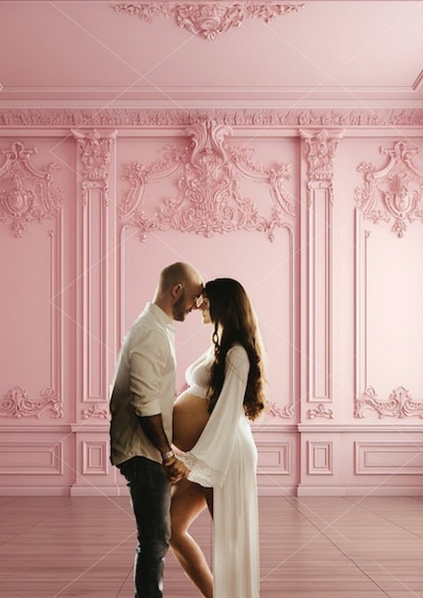 Pink Maternity Paneled Room Co - Photography Lighting And Composition 评论和价格